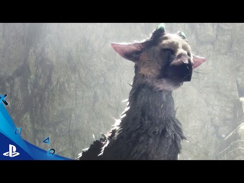 Miniatura del vídeo